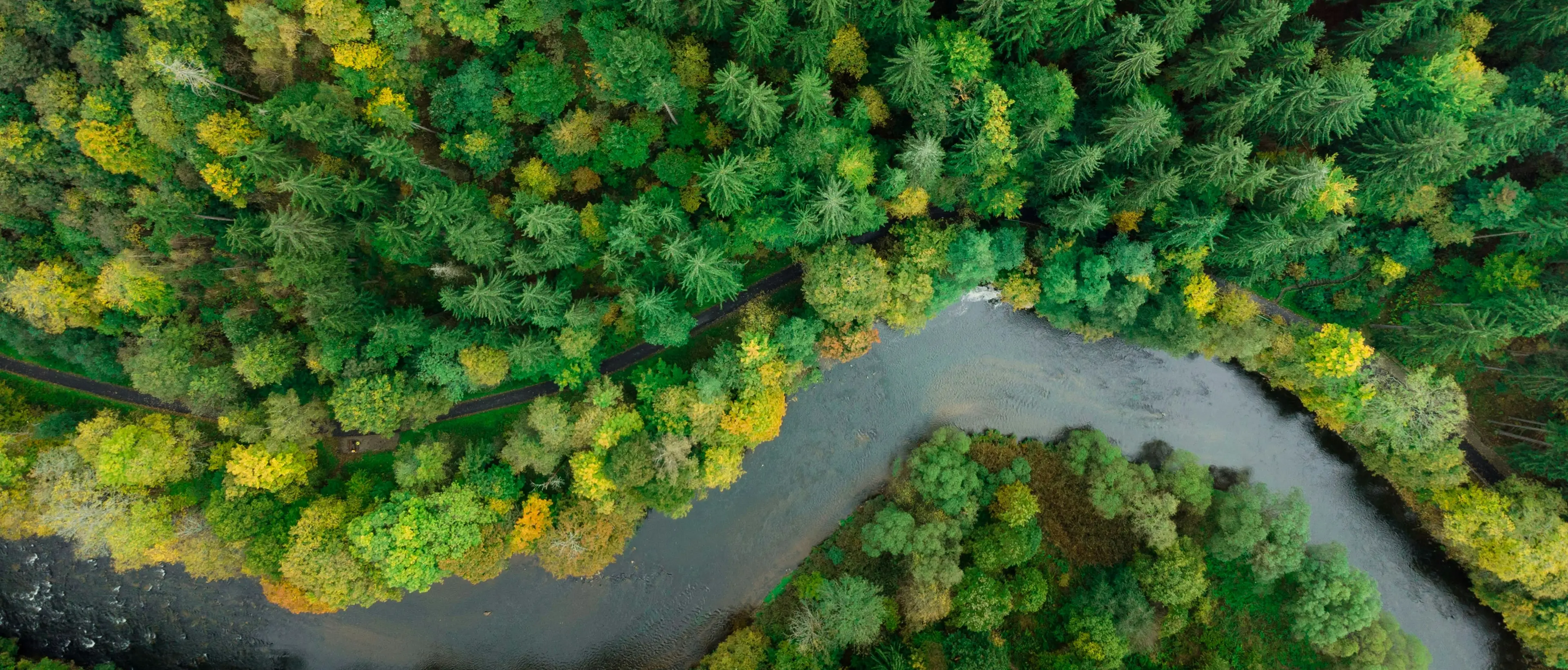 Safety & Health Management