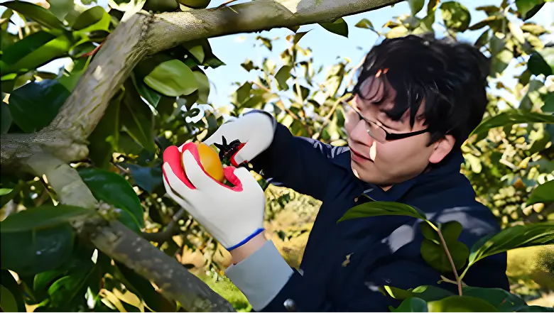 Helping Hands for Rural Farms